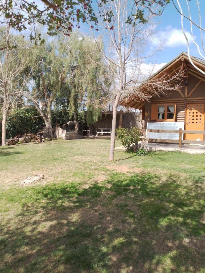 Aromos * Maipu (Mendoza)